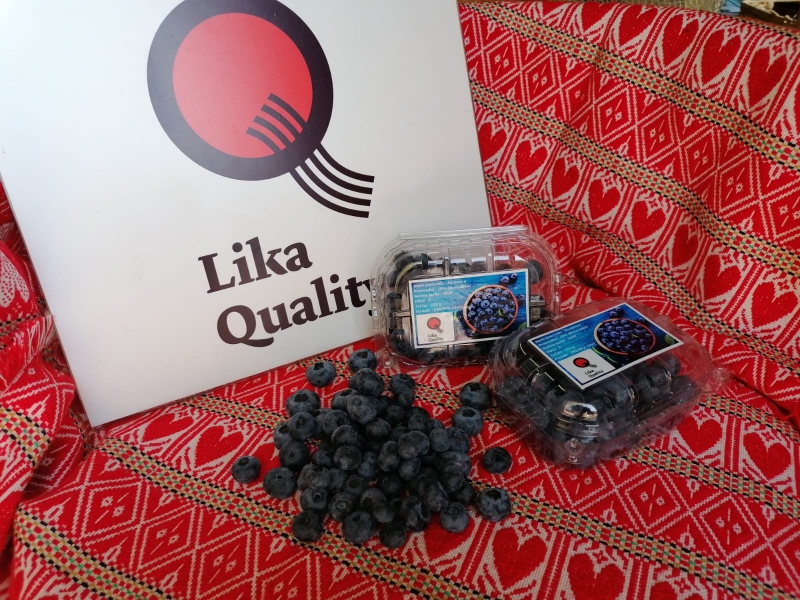 Lika quality opg laktic mario (9)