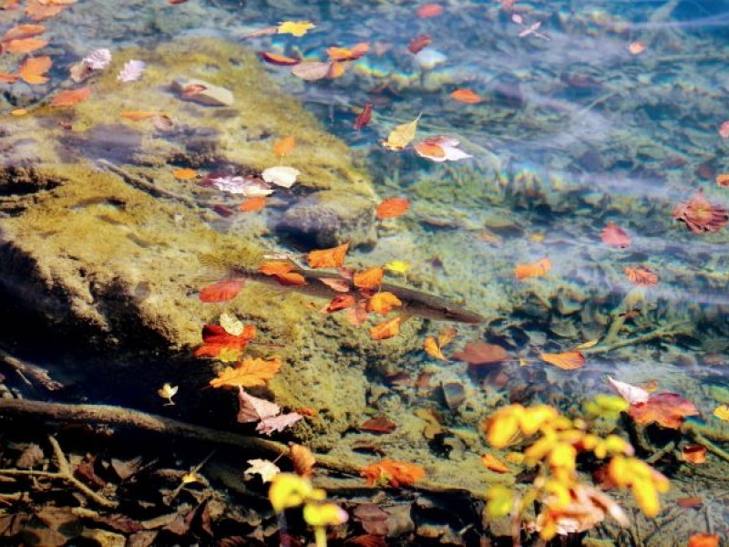 Likadestination National Park Plitvice lakes
