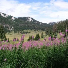 Nacionalni park Sjeverni Velebit