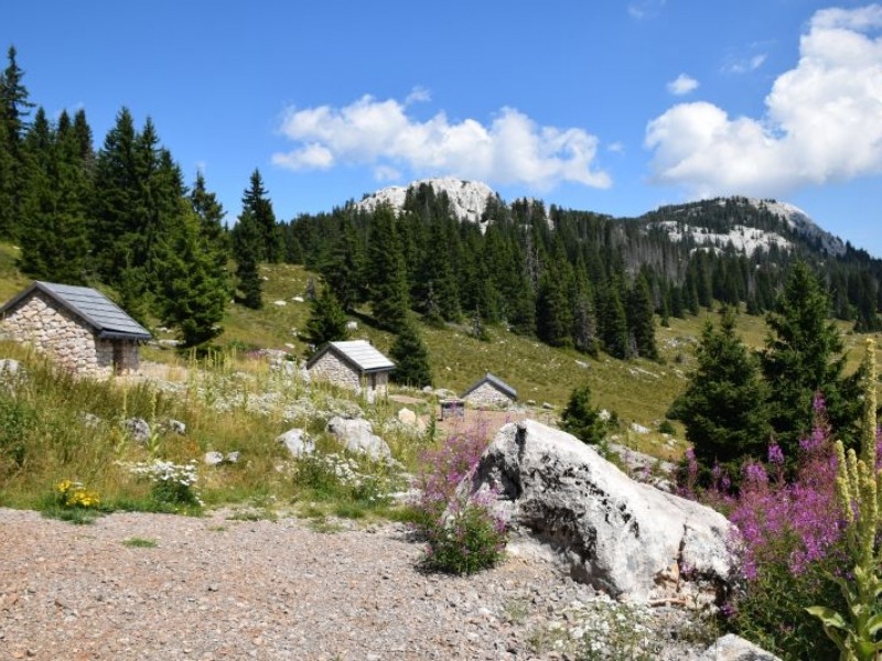 Nacionalni park Sjeverni Velebit | Planina Velebit ...