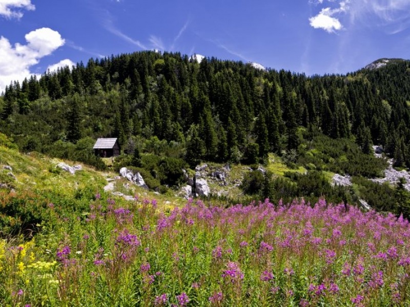 NP Sjeverni Velebit