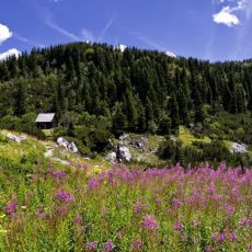 Nacionalni park Sjeverni Velebit