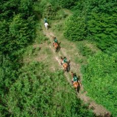 Ranch Equus Igni