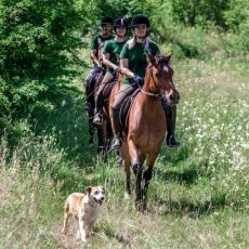 Ranch Equus Igni