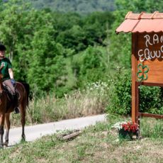 Ranch Equus Igni