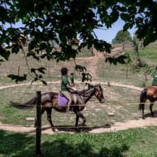 Ranch Equus Igni