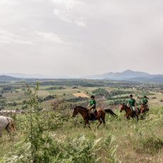 Ranch Equus Igni