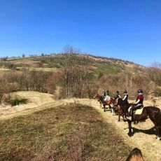 Ranch Equus Igni