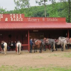 Linden Tree Retreat and  Ranch