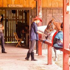 Linden Tree Retreat and  Ranch