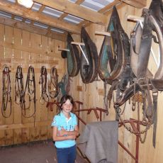 Linden Tree Retreat and  Ranch