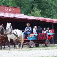 Linden Tree Retreat and  Ranch