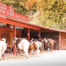 Linden Tree Retreat and  Ranch