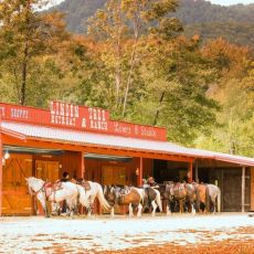Linden Tree Retreat and  Ranch