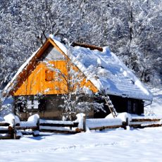Linden Tree Retreat and  Ranch