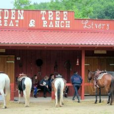 Linden Tree Retreat and  Ranch