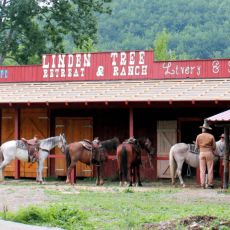 Linden Tree Retreat and  Ranch