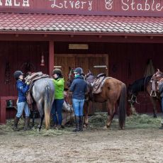 Linden Tree Retreat and  Ranch
