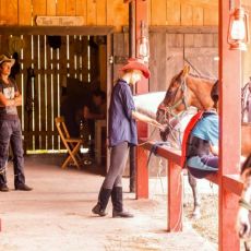Linden Tree Retreat and  Ranch