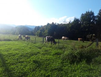 Family Farm Starčević