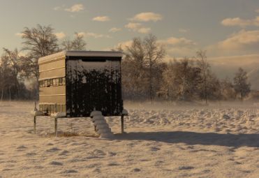 Zorić family farm