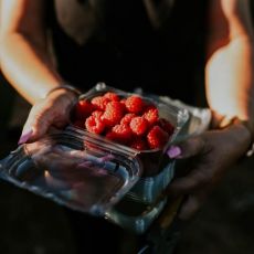 OPG Borčić Bertil Vladimir