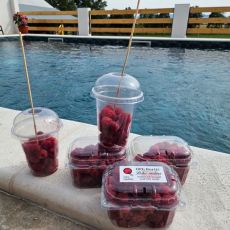 OPG Borčić Bertil Vladimir