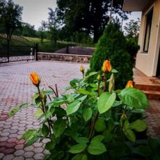 Gacka - Beautiful Place in Nature