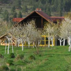 Eco sweet home