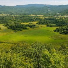 Općina Gračac