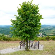 Općina Rakovica