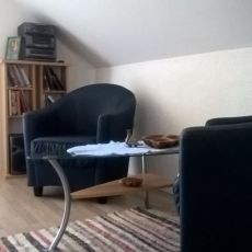 Studio apartman Metlača