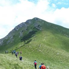 Planinarsko društvo Gromovača