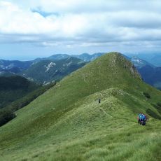 Planinarsko društvo Gromovača