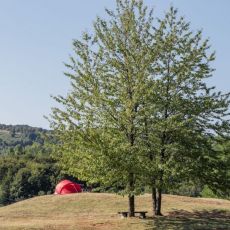 Kamp Korana