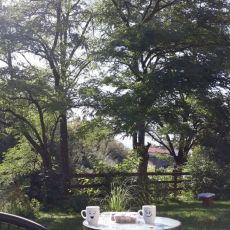 Apartman Riverside