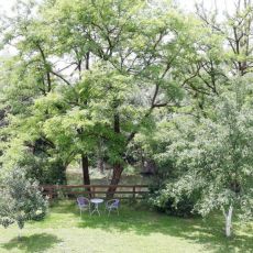 Apartman Riverside