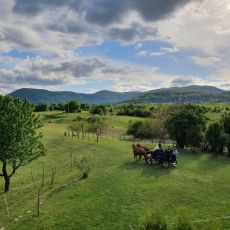 Ranch Terra