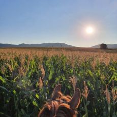 Ranch Terra