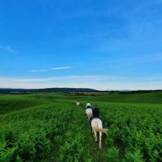 Ranch Terra
