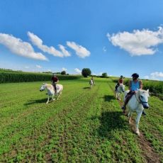 Ranch Terra