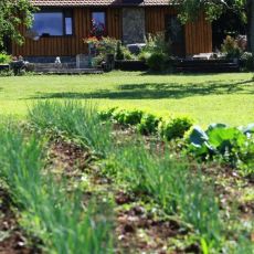 House Arupium