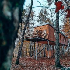 Treehouse Croatia