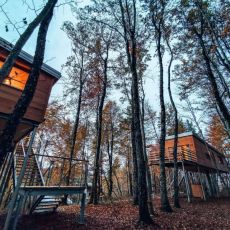 Treehouse Croatia