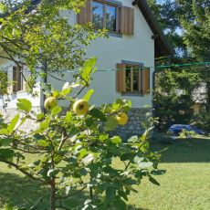 Anemona House