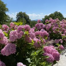 B&b Plitvice Area Natura