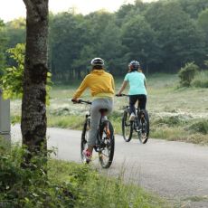 Lika Bike