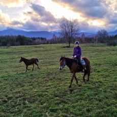 Mystic Mountain Ranch (OPG Popravak)