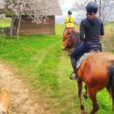 Mystic Mountain Ranch (OPG Popravak)
