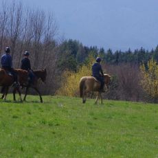 Mystic Mountain Ranch (OPG Popravak)